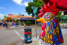 Load image into Gallery viewer, Miami City, Little Havana Tour plus a FREE Bicycle Rental in South Beach