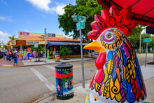 Load image into Gallery viewer, Miami City, Little Havana Tour plus a FREE Bicycle Rental in South Beach
